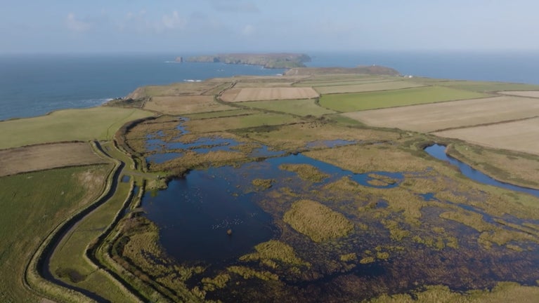 Prosiect Gwlypdiroedd Cors Marloes wedi’i gwblhau